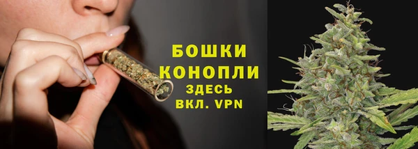 PSILOCYBIN Аркадак