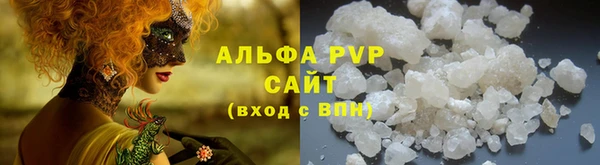 СК Алзамай