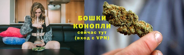 PSILOCYBIN Аркадак