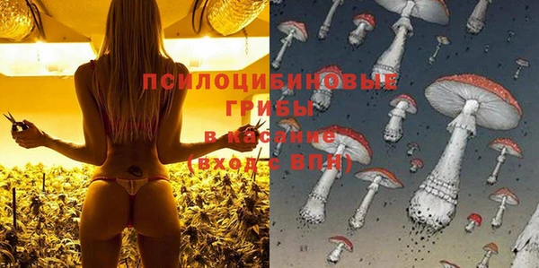 PSILOCYBIN Аркадак