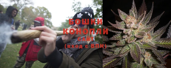 ПСИЛОЦИБИНОВЫЕ ГРИБЫ Армянск