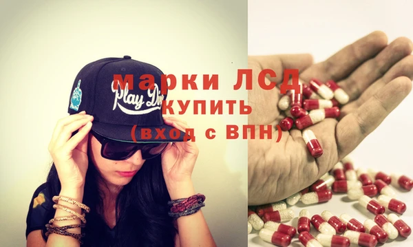 PSILOCYBIN Аркадак