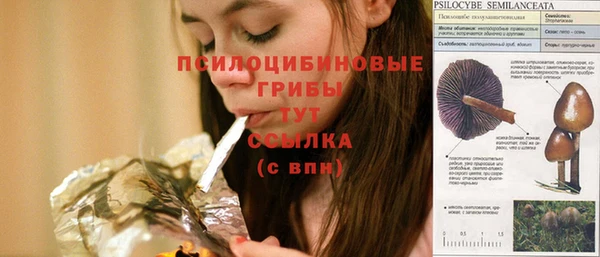 шишки Алексеевка
