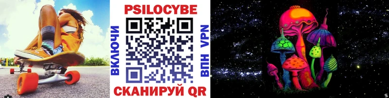 Псилоцибиновые грибы Psilocybine cubensis  Нижний Тагил 